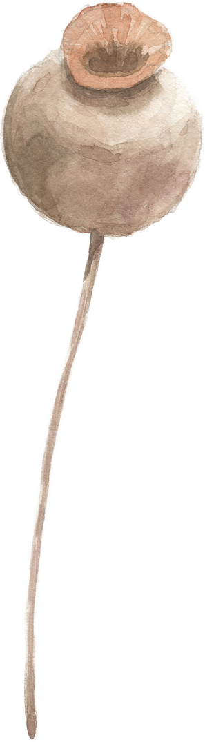 Modern oasis watecolor flower