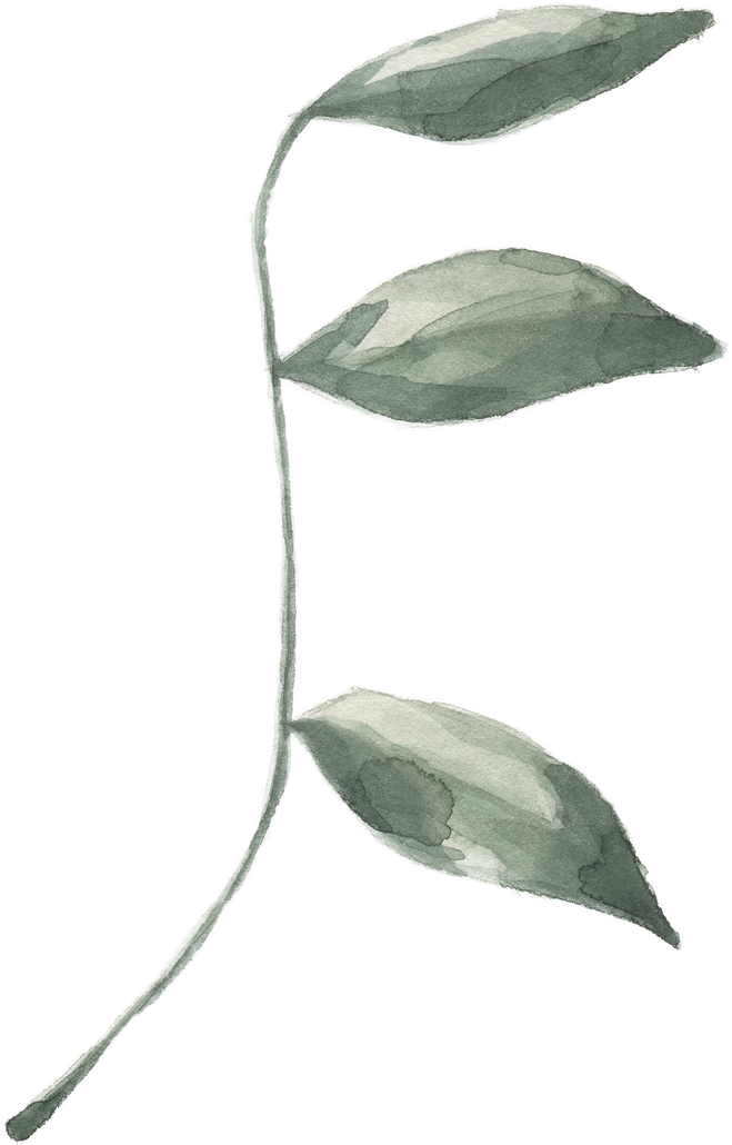 Modern oasis leaf